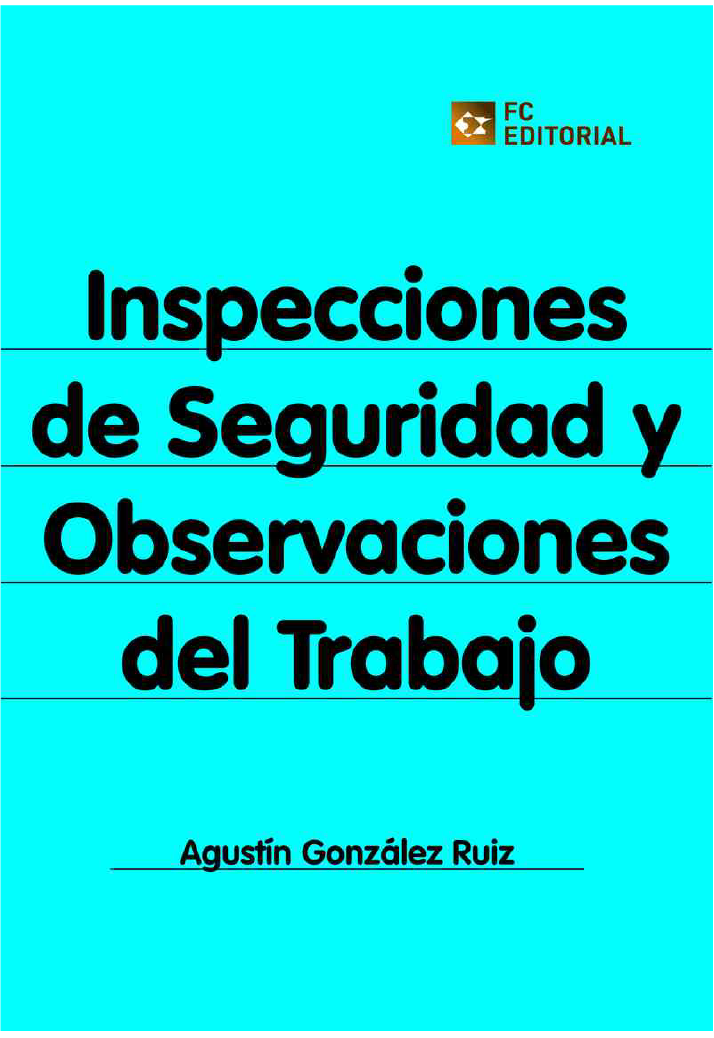 Inspecciones de seguridad y observaciones del trabajo - Imagen 2