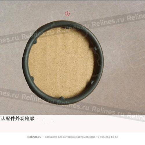 AMBACAR - HAVAL H6 B01 - ORING SELLO CILINDRO 4N20 H6 B01