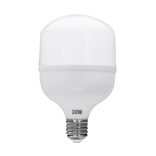 FOCO TOLEDO LED 30W L/B P892