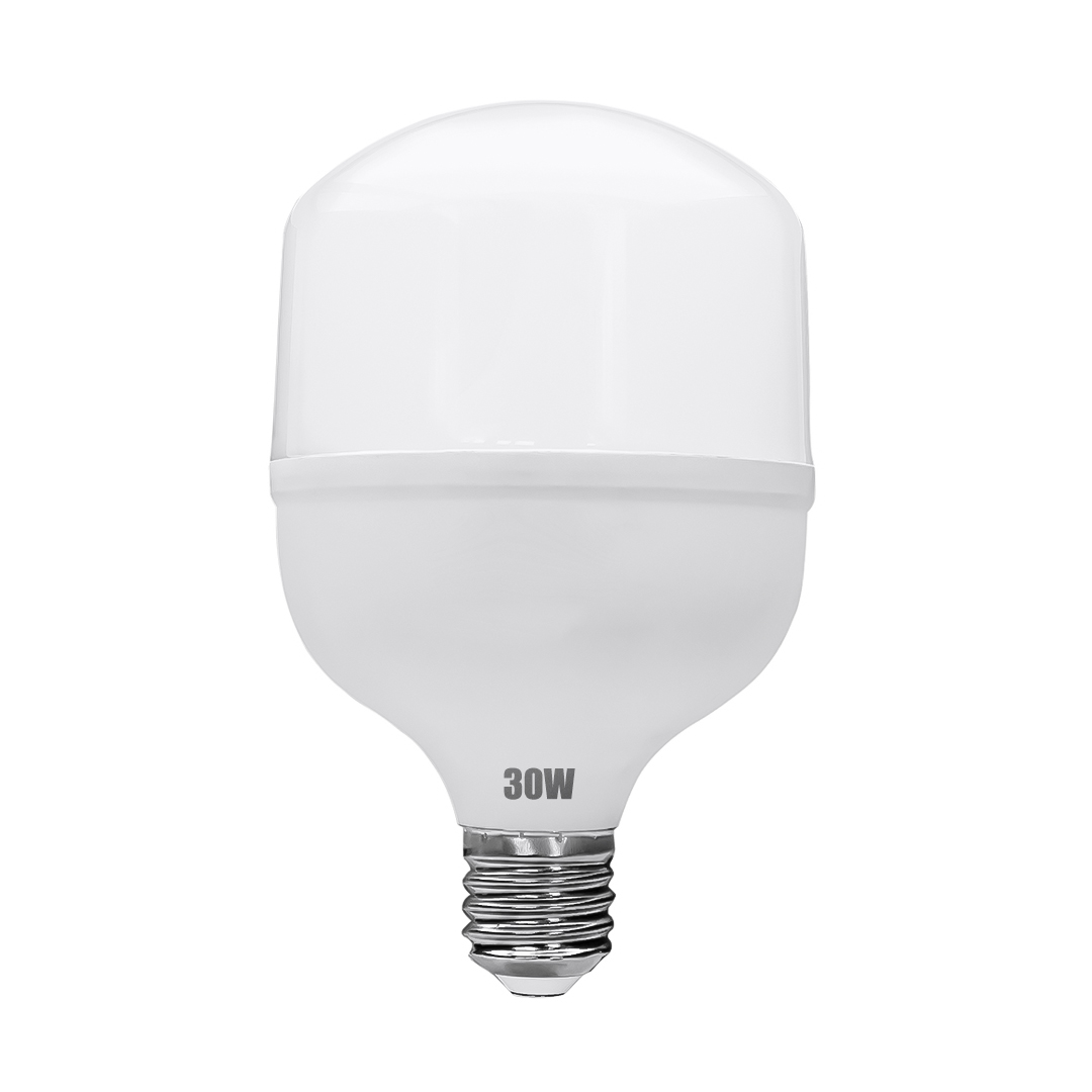 FOCO TOLEDO LED 30W L/B P892
