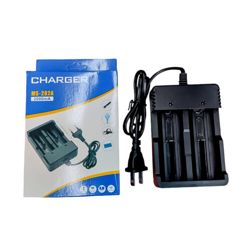 CARGADOR DE PILAS DELEEX