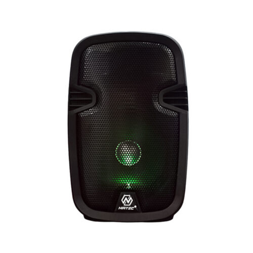 PARLANTE NT-PB13 8 PULGADAS