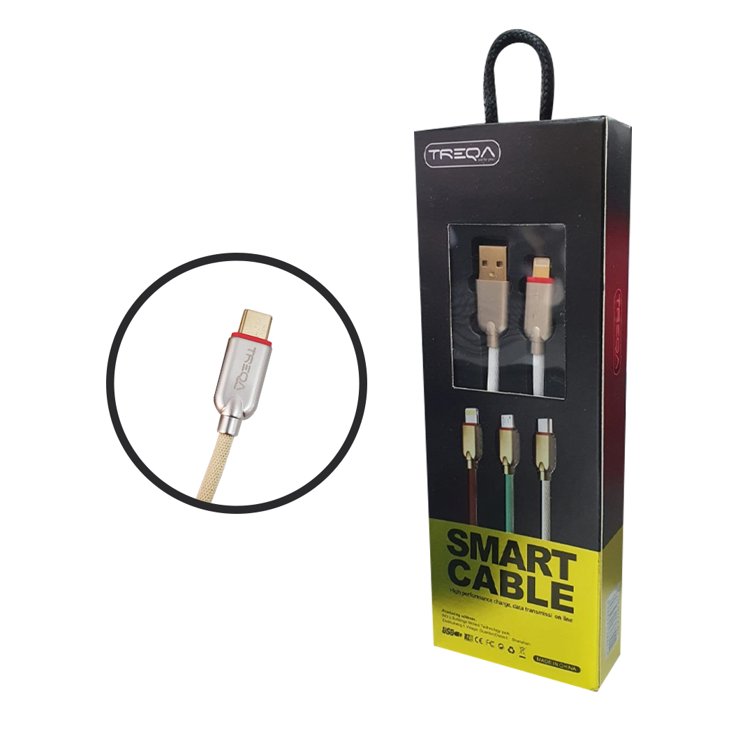CABLE TIPO C CA-8013