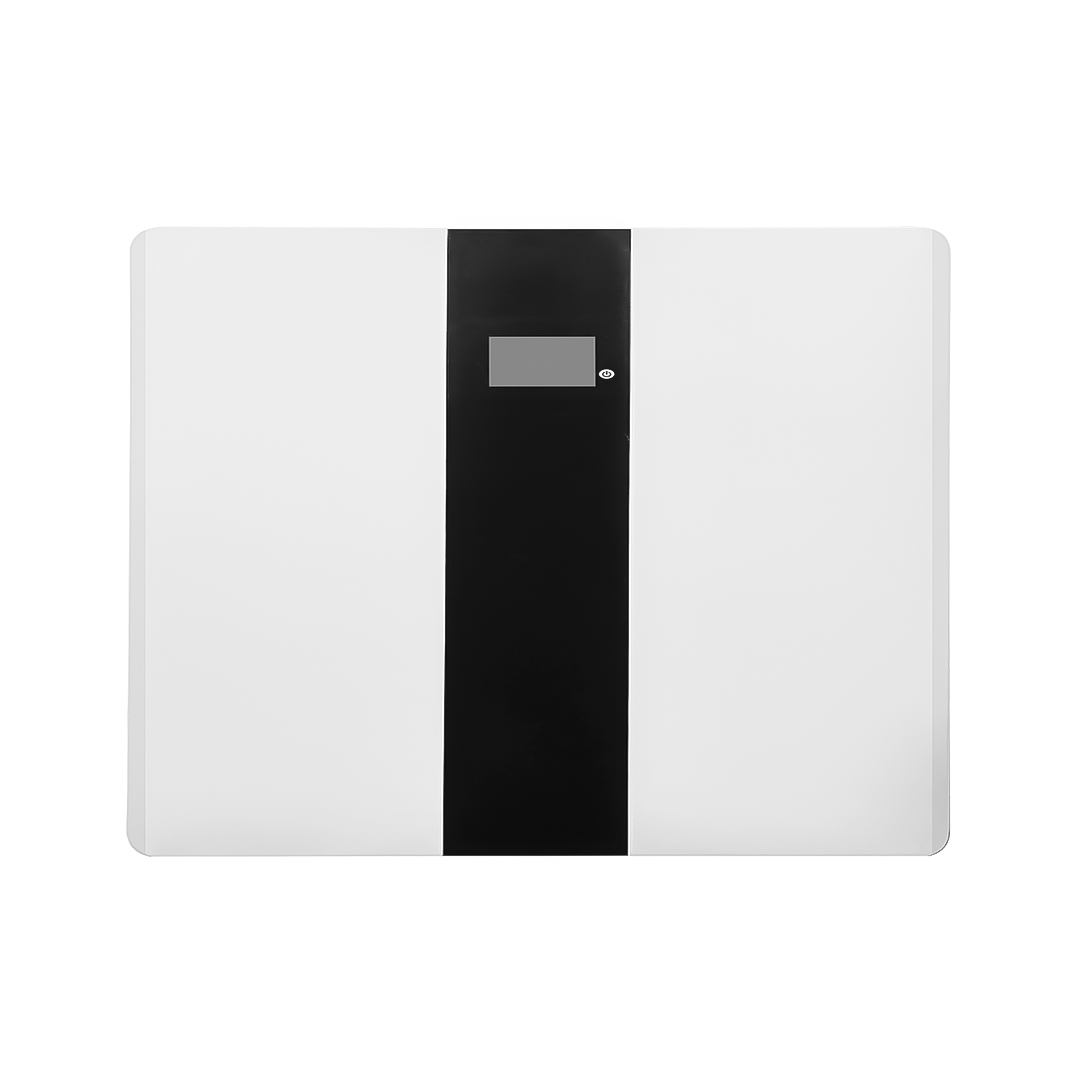 BATERIA DE LITIO PARA INVERSOR 51,2V 100AH